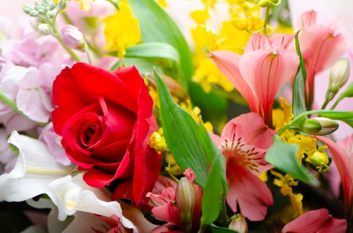 退職祝いにおすすめ!送別プレゼント3選