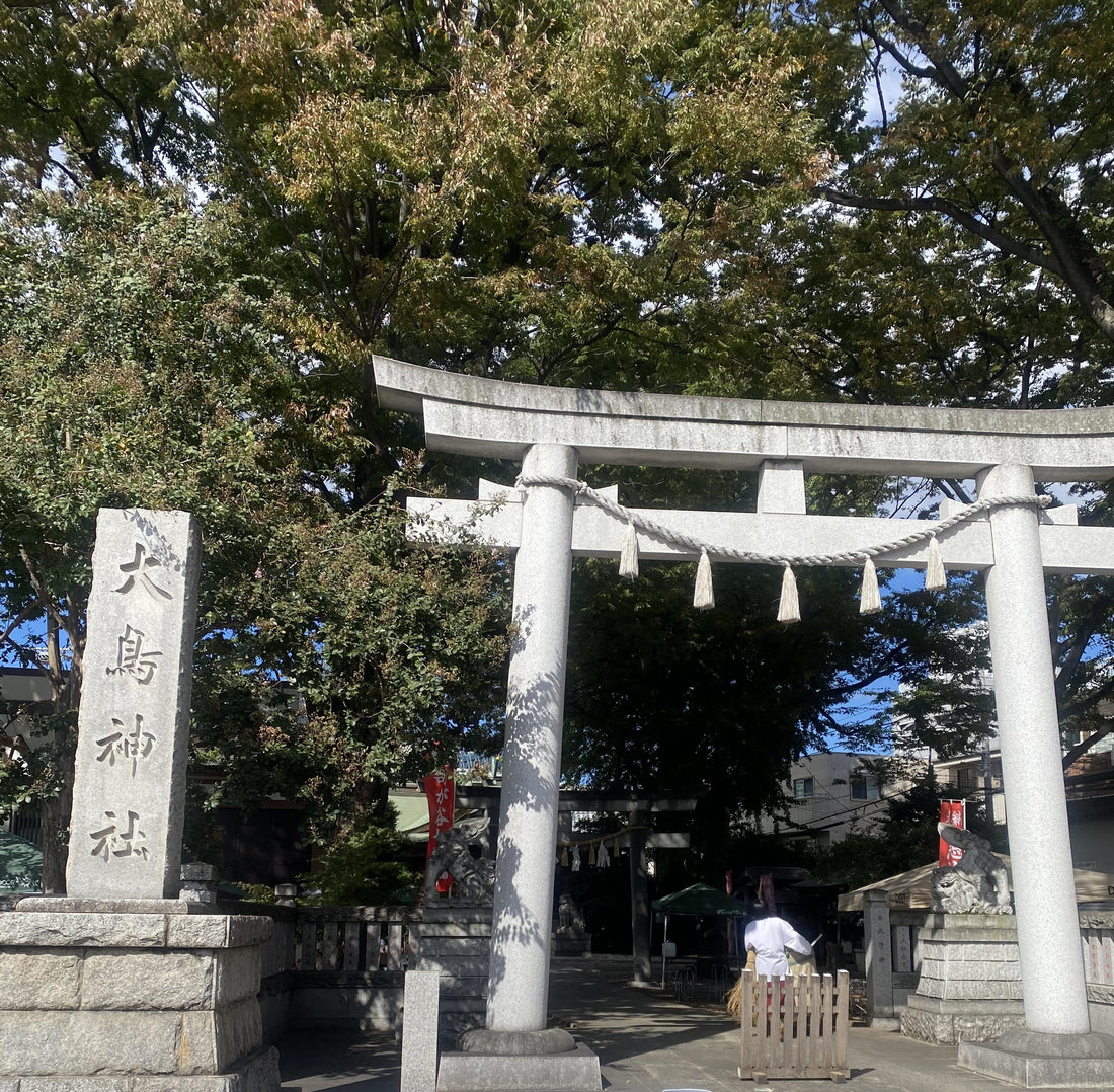 秋真っ盛り！池袋、雑司が谷の秋イベントに参加しました！