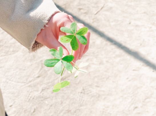 【threaF誕生の道のり①】コンセプトに込められた想い